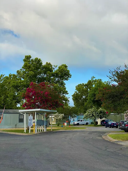 Silent Valley Picture 6