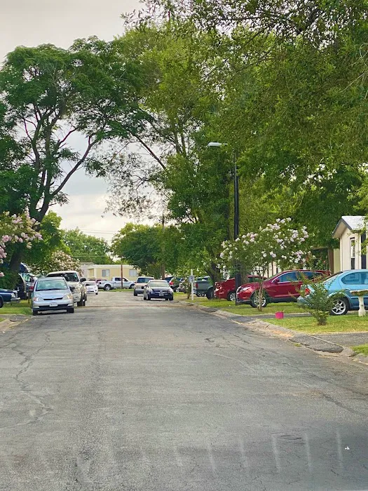 Silent Valley Picture 7