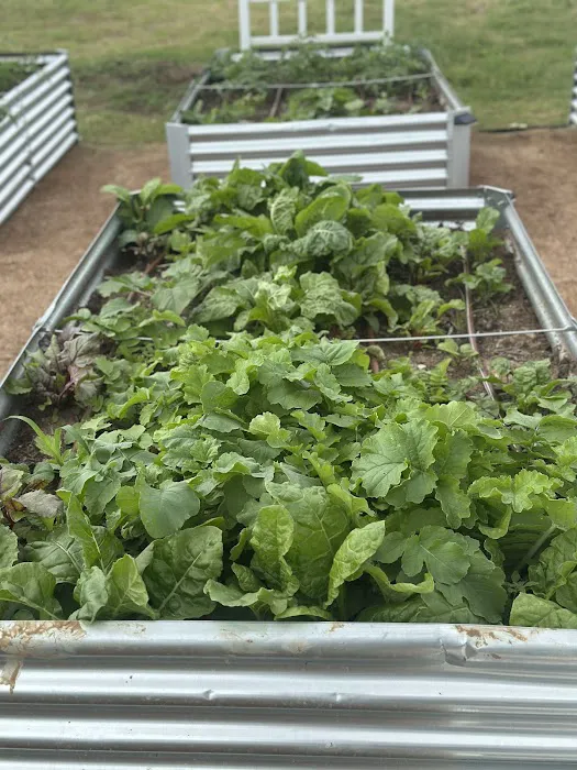 Rustic Waters RV Resort Picture 6