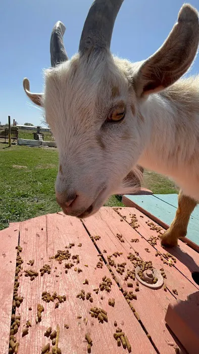 Rustic Waters RV Resort Picture 7