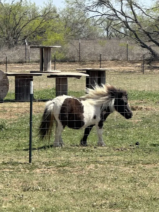 Rustic Waters RV Resort Picture 10