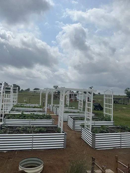 Rustic Waters RV Resort Picture 8