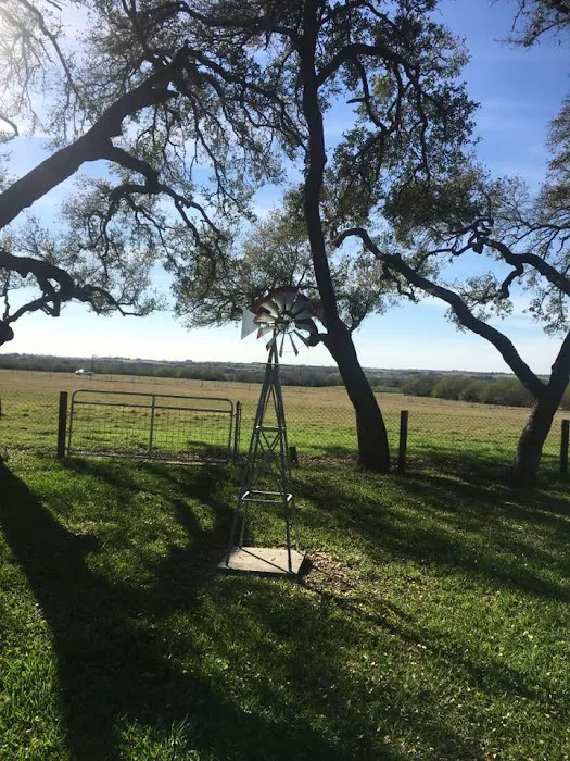 Gerhardt RV Park Picture 10