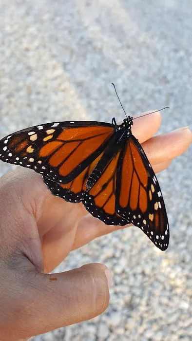 Patriot RV Park - Victoria Picture 10