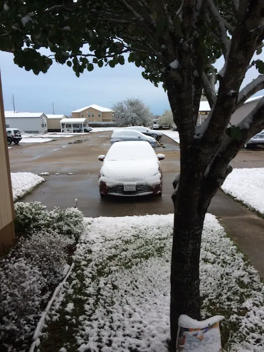 Camelot Place Picture 6