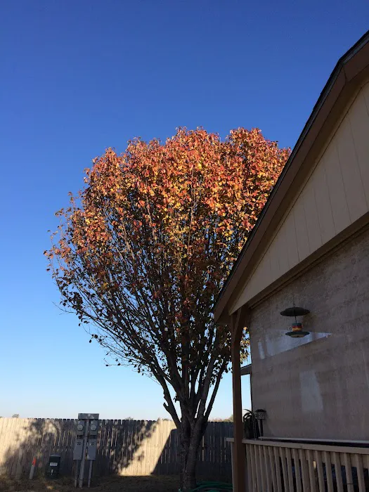 Camelot Place Picture 4