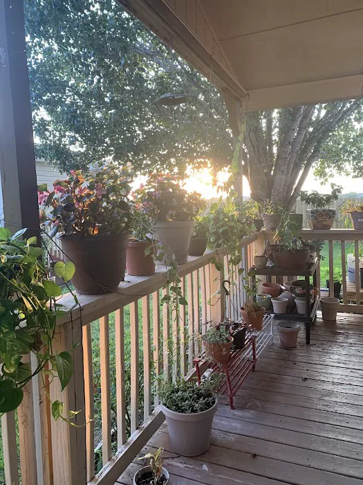 Camelot Place Picture 8