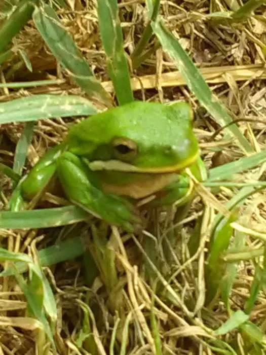 Elm Creek RV Park Picture 1