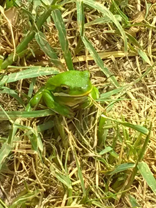 Elm Creek RV Park Picture 10