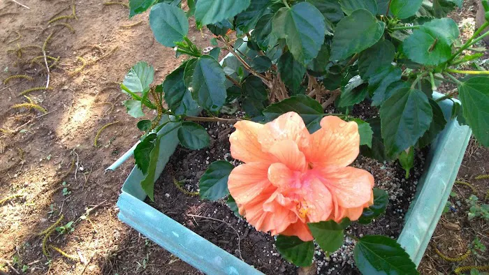 Holiday RV Park Picture 3