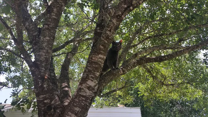 Holiday RV Park Picture 9