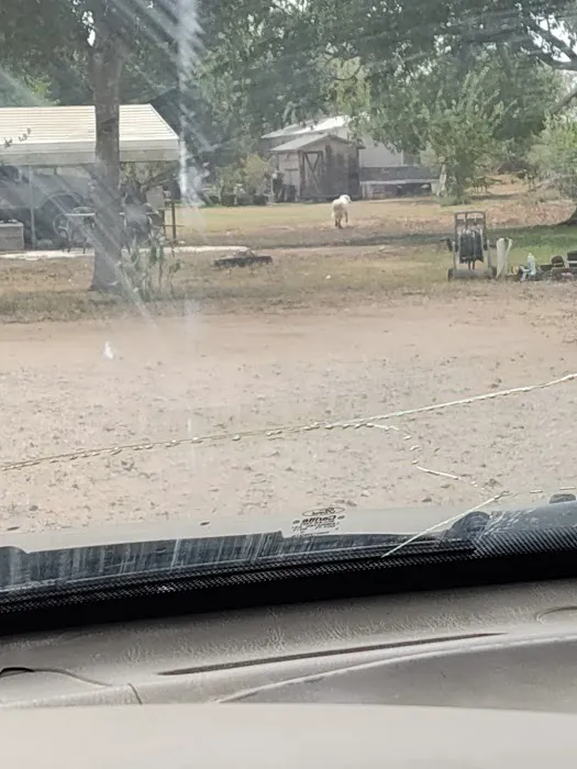 Holiday RV Park Picture 4