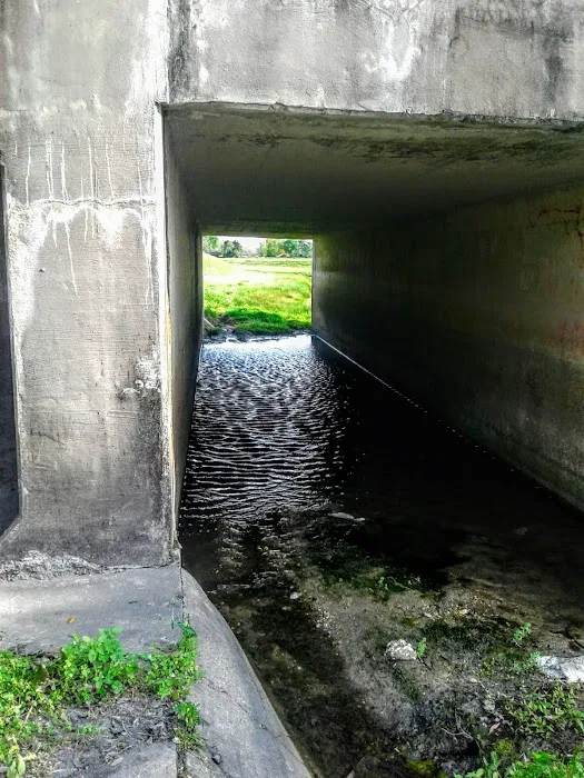 Holiday Acres Mobile Home Community Picture 6