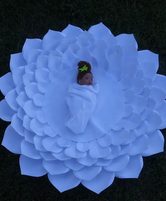 Holiday Acres Mobile Home Community Picture 4