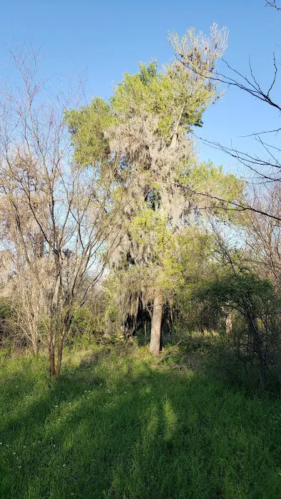 Victoria RV Park (River Park) Picture 8