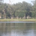 Victoria RV Park (River Park)