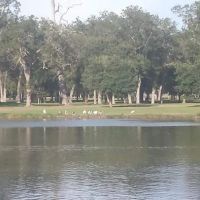 Victoria RV Park (River Park) ico