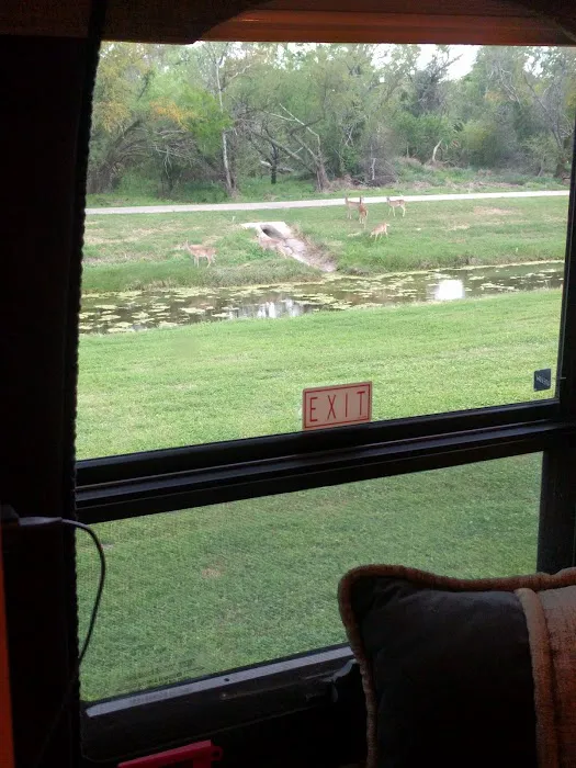 Victoria RV Park (River Park) Picture 4