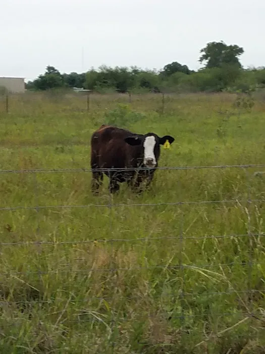 Country Comfort RV Park Picture 2