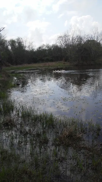 Country Comfort RV Park Picture 1