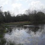 Country Comfort RV Park