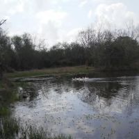 Country Comfort RV Park ico