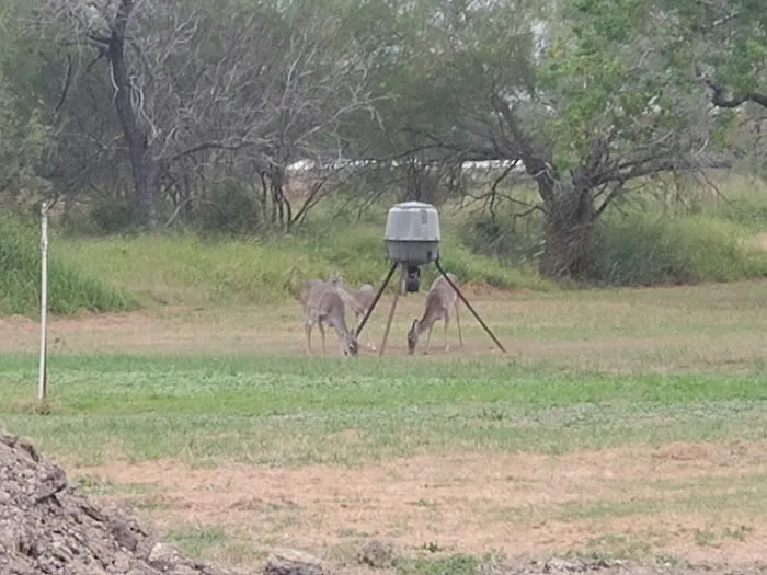 Country Comfort RV Park Picture 4