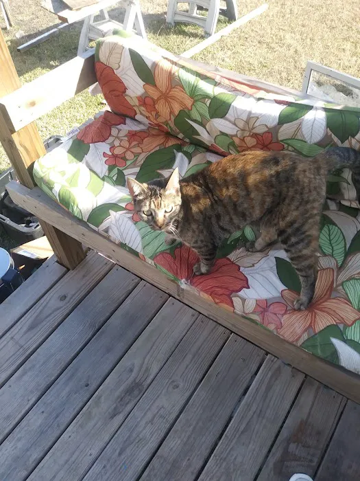 Aloe RV Park Picture 4