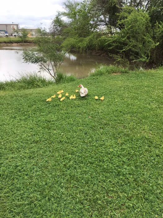 Gateway to the Gulf RV Park Picture 6