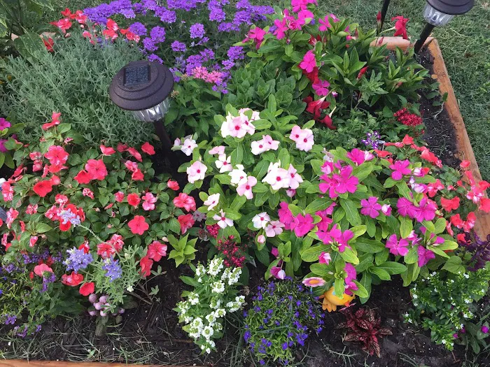 Dad's RV Park Picture 9