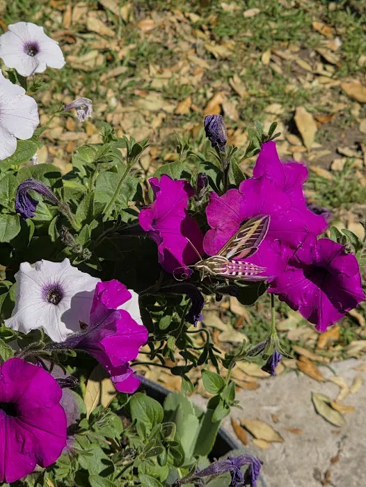 Dad's RV Park Picture 4