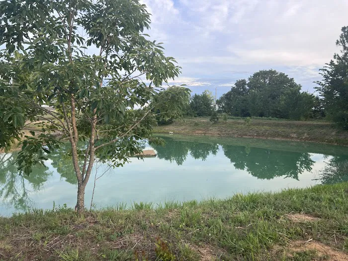 Lazy Days Rentals Picture 2