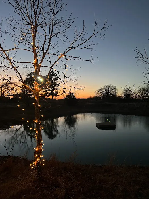 Lazy Days Rentals Picture 6