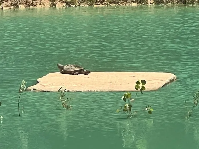 Lazy Days Rentals Picture 1