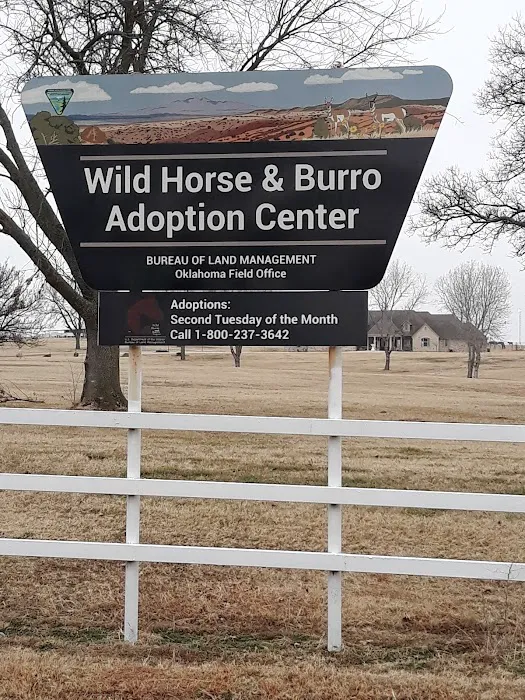 Wild Horse RV Park Picture 6