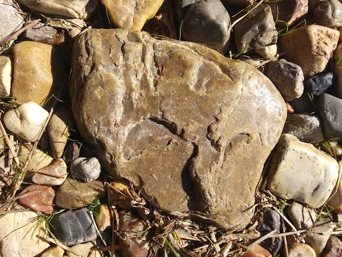 Castle Keepers R V Resort Picture 6