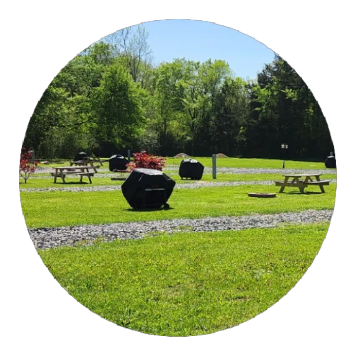 Chigger Hill RV Park Picture 9