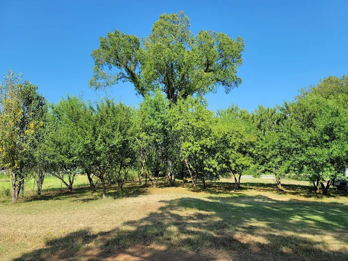 Cedar Creek Trails RV Park Picture 3