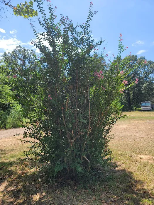 Cedar Creek Trails RV Park Picture 10