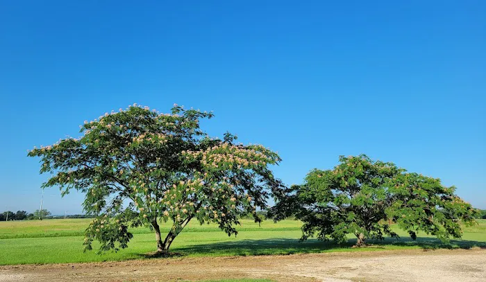 Comanche County RV Park Picture 2