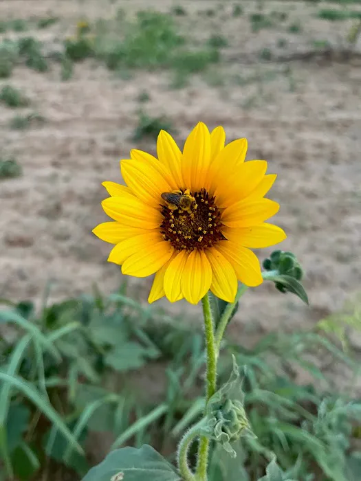 Salt Creek RV Park Picture 1