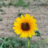 Salt Creek RV Park ico