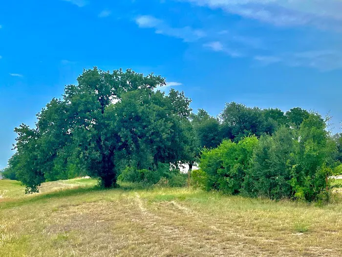 Salt Creek RV Park Picture 6