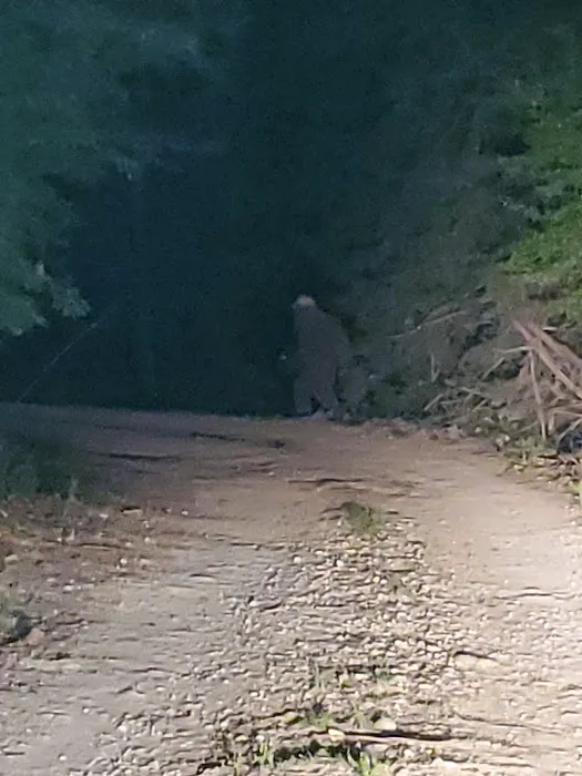 Riverside RV Hideaway Picture 1