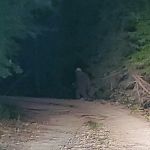 Riverside RV Hideaway