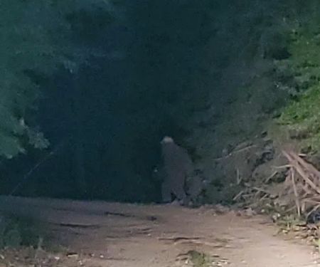 Riverside RV Hideaway