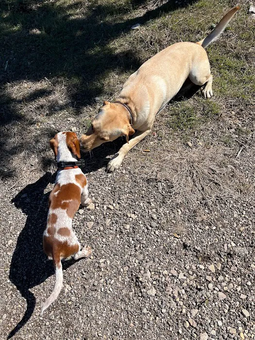 Shilo RV Village Picture 8