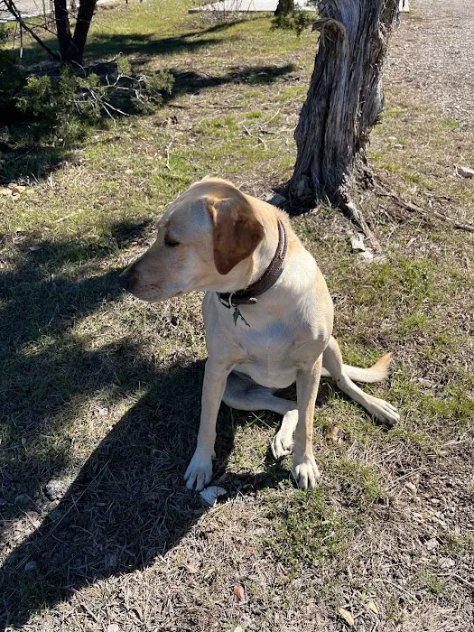 Shilo RV Village Picture 7