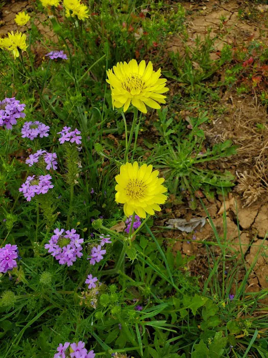 New Life RV Park Picture 10