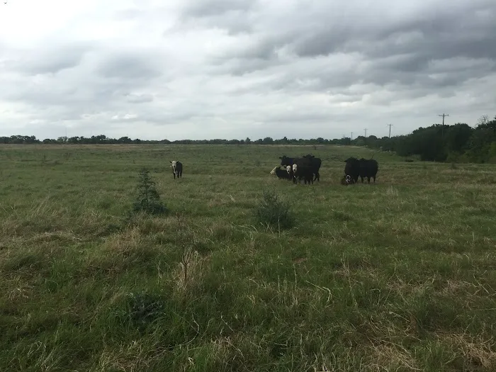 New Life RV Park Picture 5